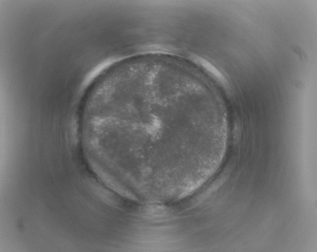 X0000115041310200911231124