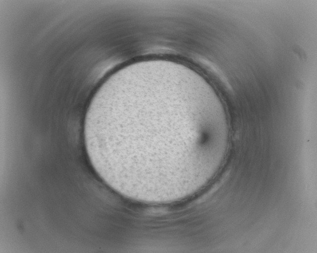 X0000115041313200911231124