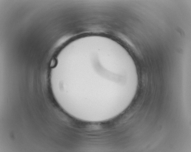 X0000115041315200911231124