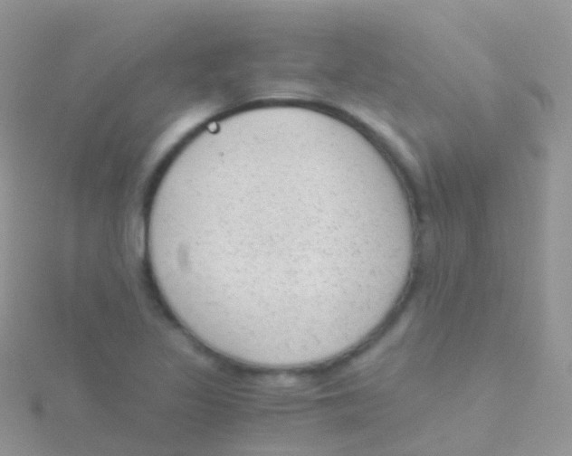 X0000115041317200911231124