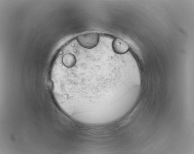 X0000115041318200911231124