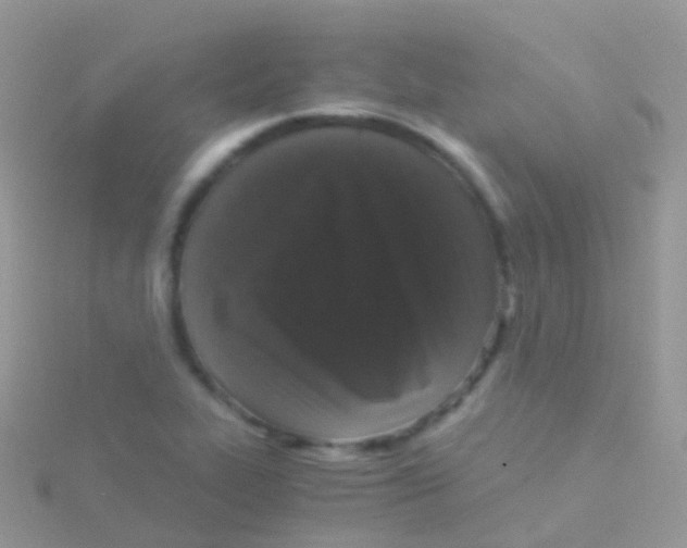 X0000115041319200911231124