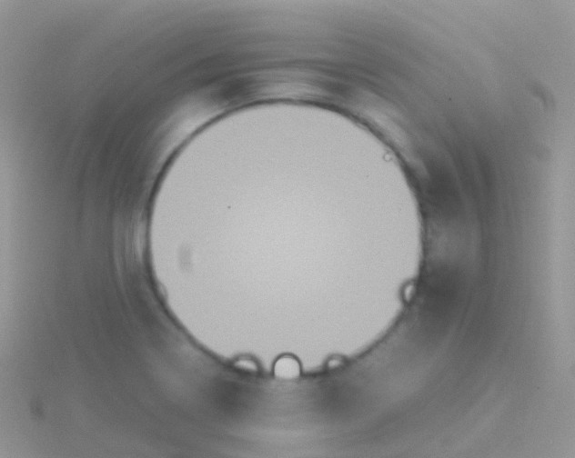 X0000115041322200911231124