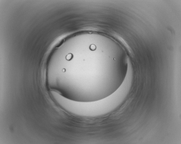 X0000115041323200911231124