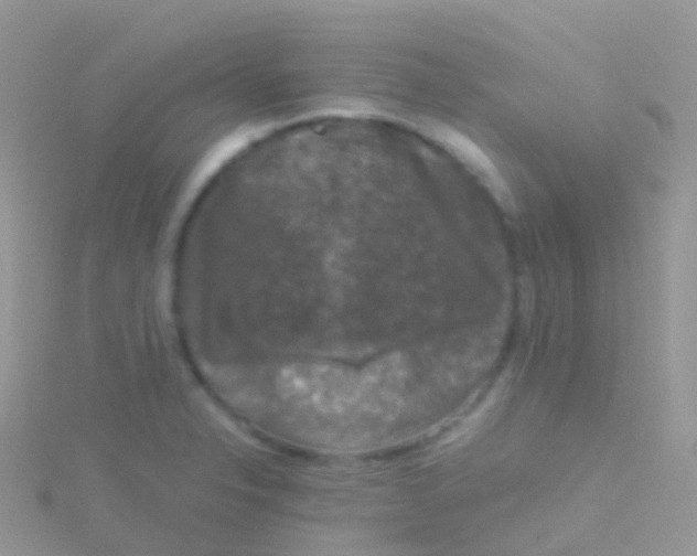 X0000115041326200911231125