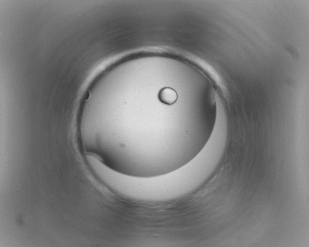 X0000115041327200911231125