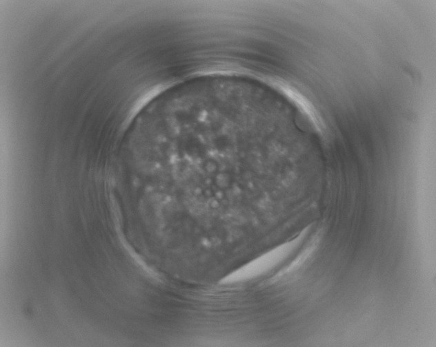 X0000115041329200911231125