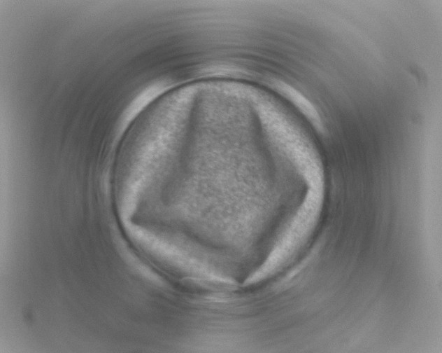 X0000115041330200911231125