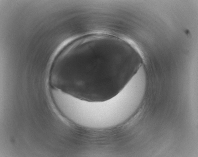 X0000115041331200911231125