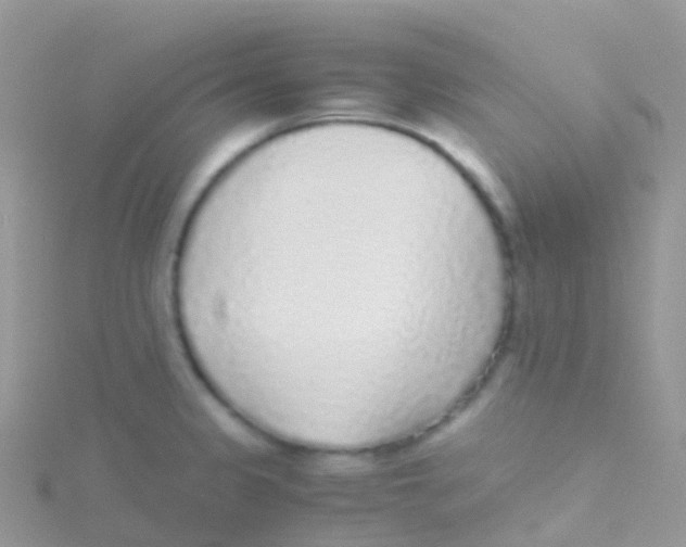 X0000115041333200911231125