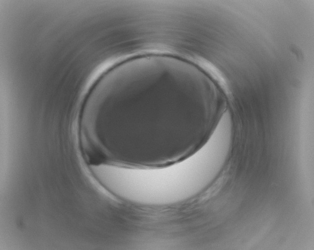 X0000115041334200911231125