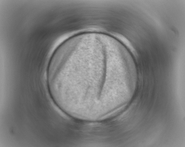 X0000115041335200911231125