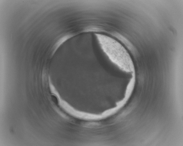 X0000115041337200911231125