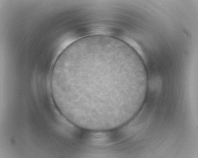 X0000115041338200911231125