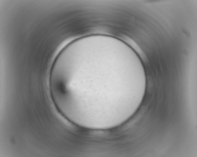 X0000115041339200911231125