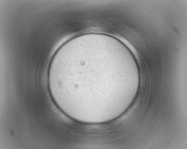 X0000115041341200911231125