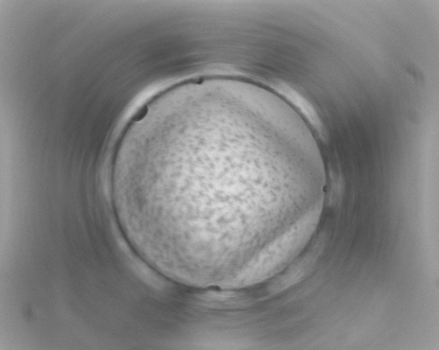 X0000115041342200911231125