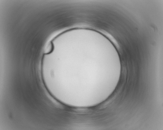 X0000115041343200911231125