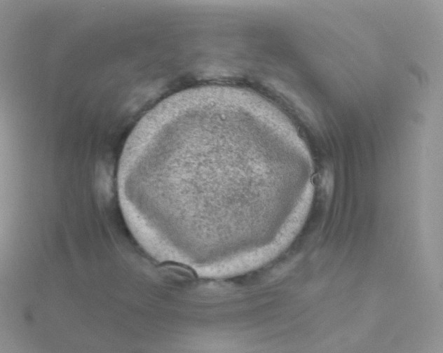 X0000115041348200911231124