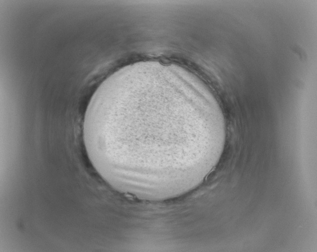 X0000115041349200911231124