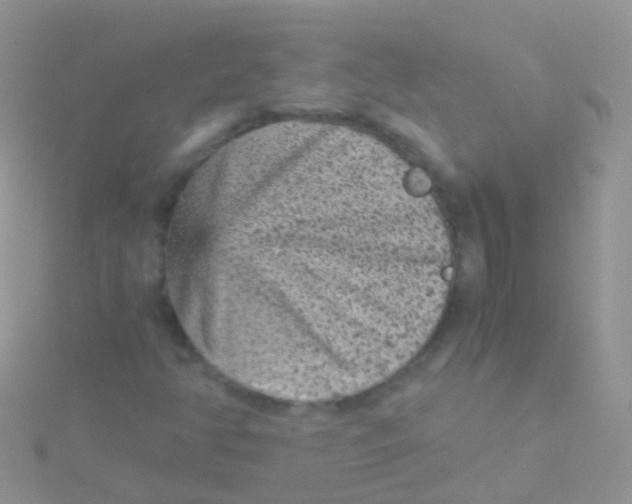 X0000115041350200911231124