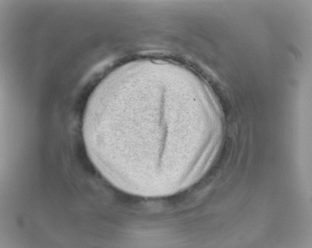 X0000115041351200911231124