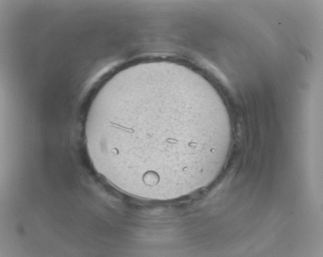 X0000115041352200911231124