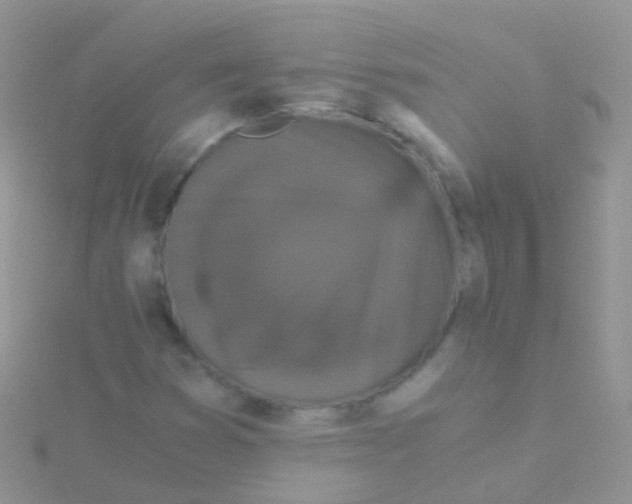 X0000115041353200911231124