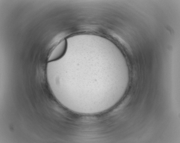 X0000115041354200911231124