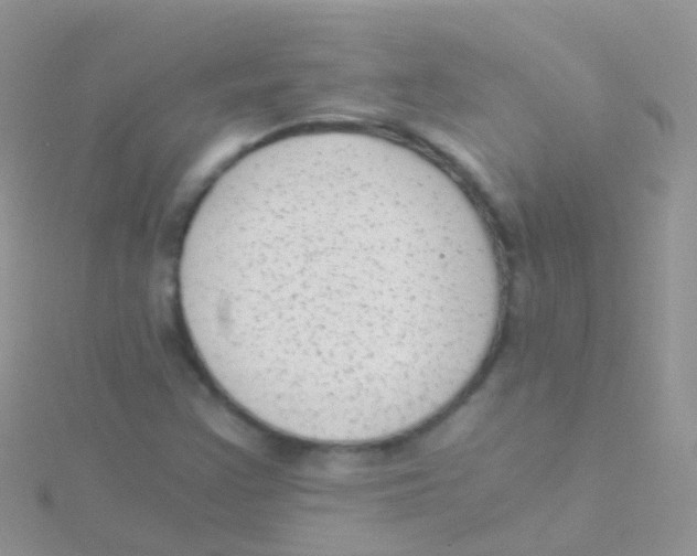 X0000115041355200911231124