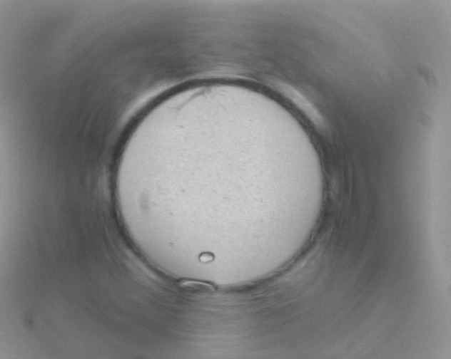 X0000115041356200911231124