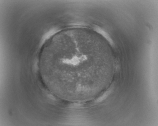 X0000115041357200911231124