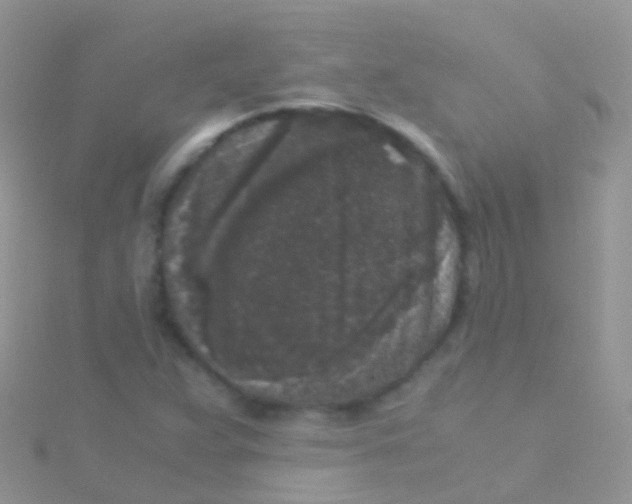 X0000115041359200911231124