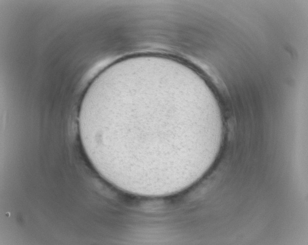 X0000115041363200911231124