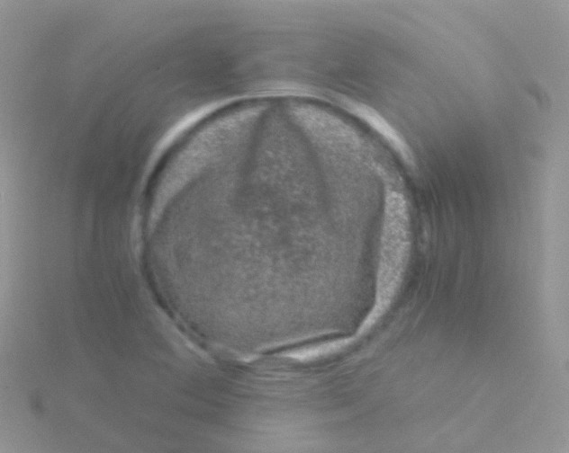 X0000115041364200911231124