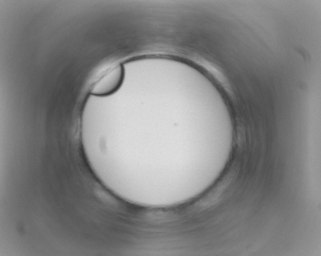 X0000115041366200911231124