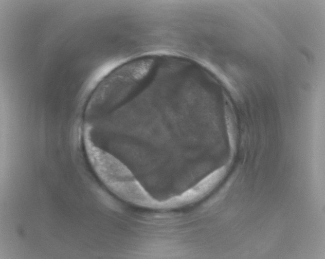 X0000115041367200911231124