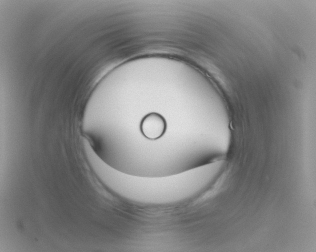 X0000115041369200911231124