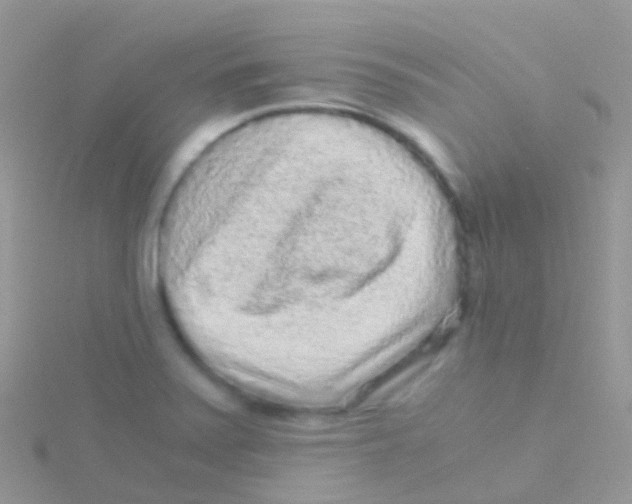 X0000115041371200911231124