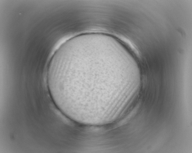 X0000115041374200911231124