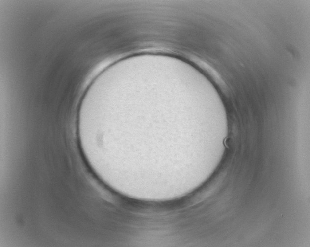 X0000115041375200911231124