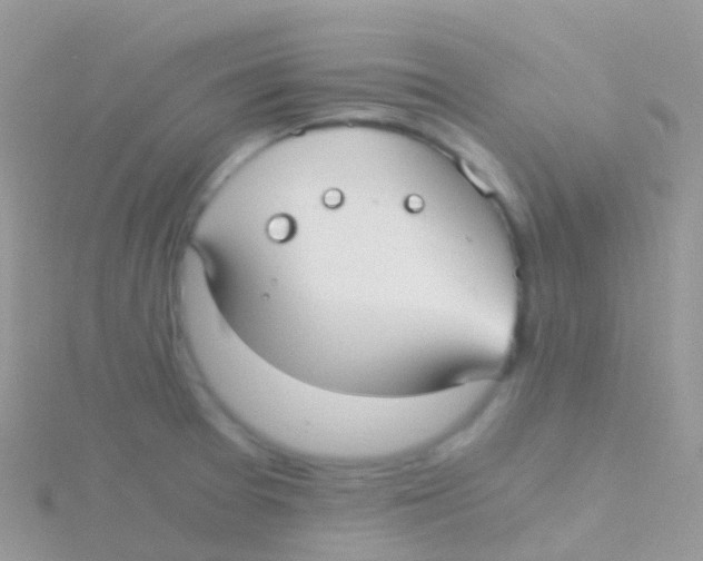 X0000115041377200911231124