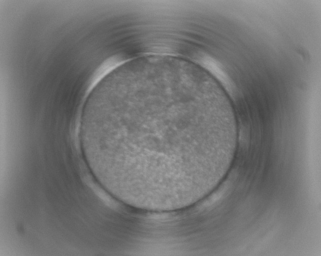 X0000115041378200911231124