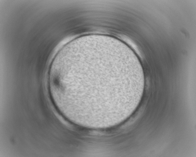 X0000115041379200911231124