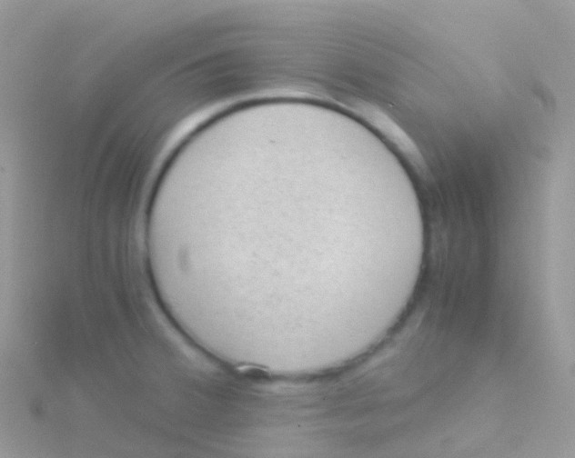 X0000115041380200911231124