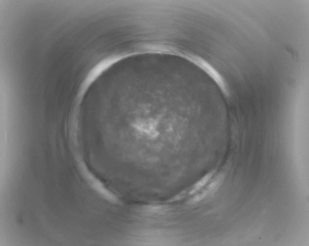 X0000115041381200911231124