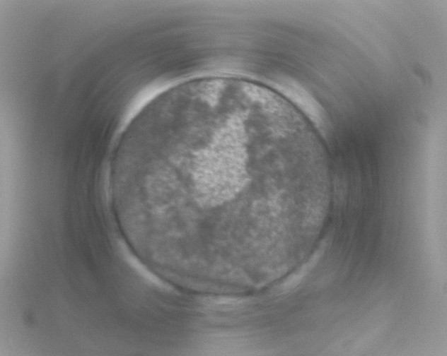 X0000115041382200911231124