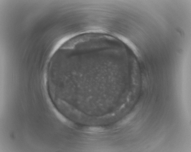 X0000115041383200911231124