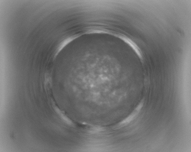 X0000115041385200911231124