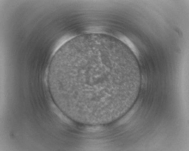 X0000115041386200911231124